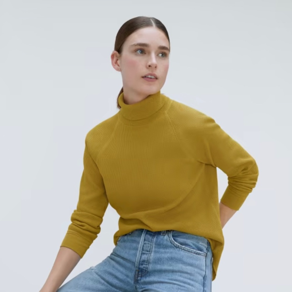 Everlane Organic Cotton Turtleneck Waffle Long Sleeve Tee